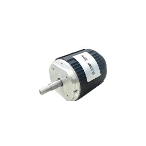 80mm BLDC motor for garden tools