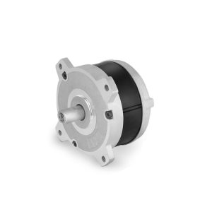 High performance 100 Series Brushless DC Motor